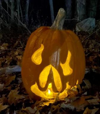 Luminary Walk Pumpkin